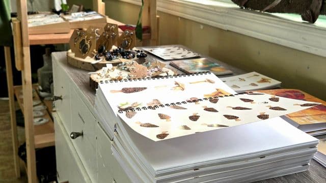 FaunENord dynamise le développement durable et culturel en Eeyou Istchee Baie-James 