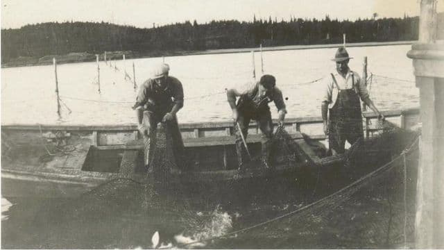 Fisheries : une histoire en queue de poisson