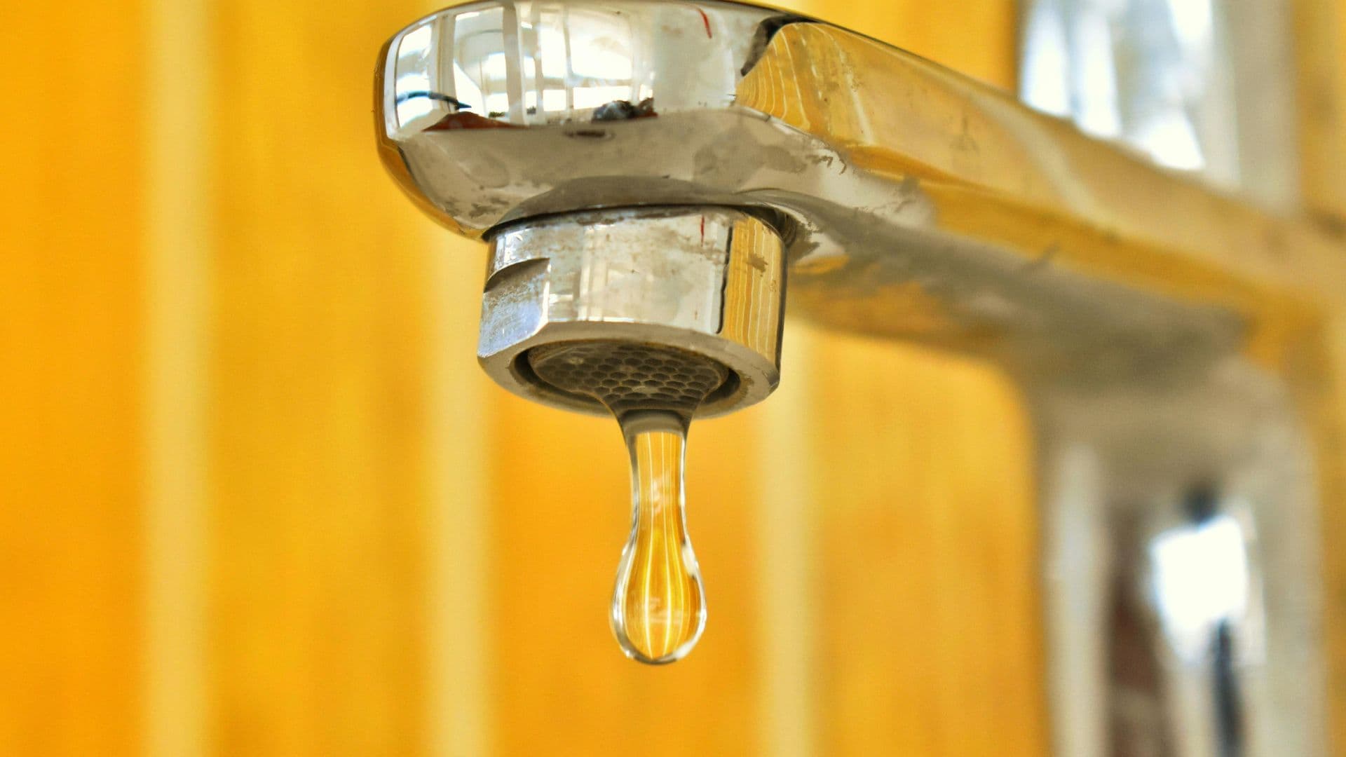 De l'eau qui coule d'un robinet 