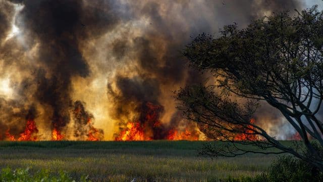 Les feux de forêt de 2023 à Lebel-sur-Quévillon : impacts et mesures gouvernementales 