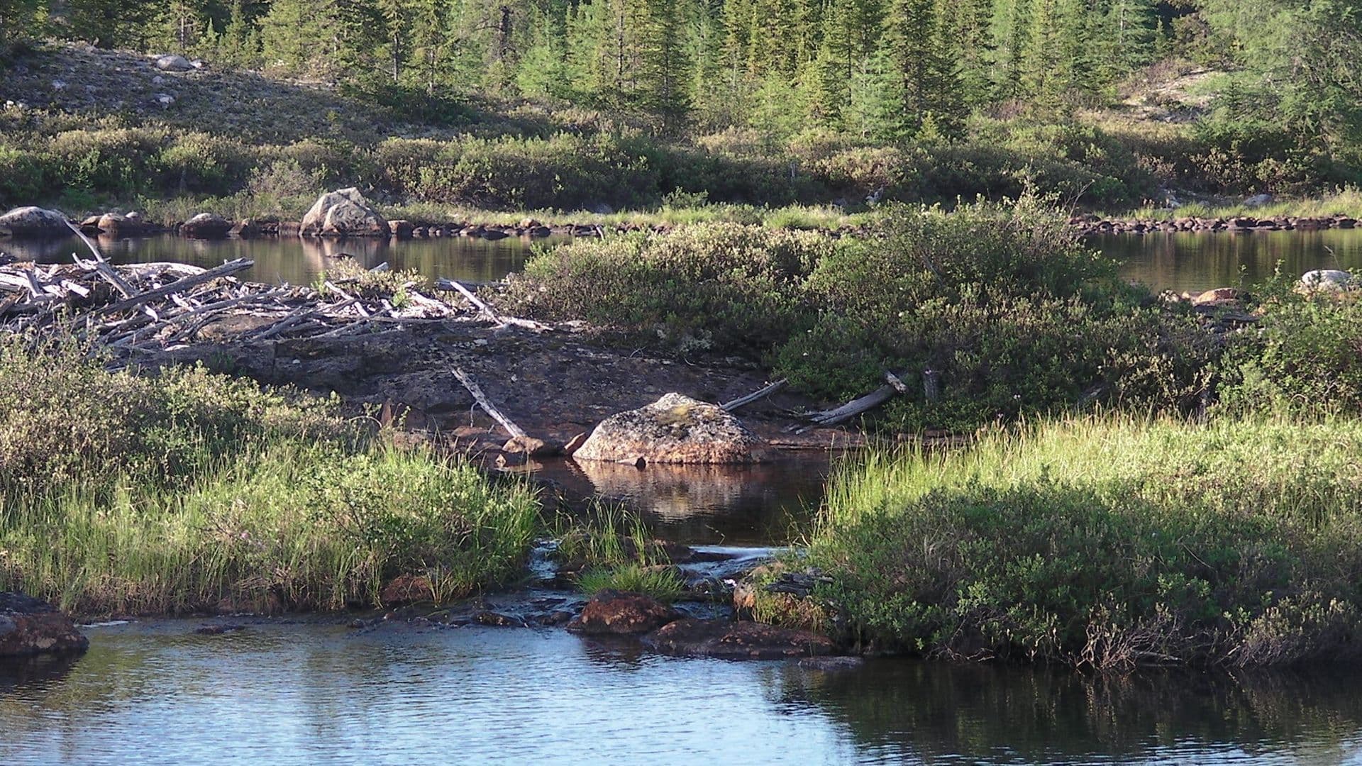 Une séance d’information aura lieu le 20 août à Chibougamau afin de mieux informer la population et présenter les possibles secteurs d’intervention prévus.  