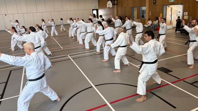 Une compétition régionale de karaté rassemble les communautés du Nord