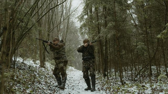 https://staging.auroreinfo.com/api/articles/file/image-chasseurs-pexels-640x360.jpg