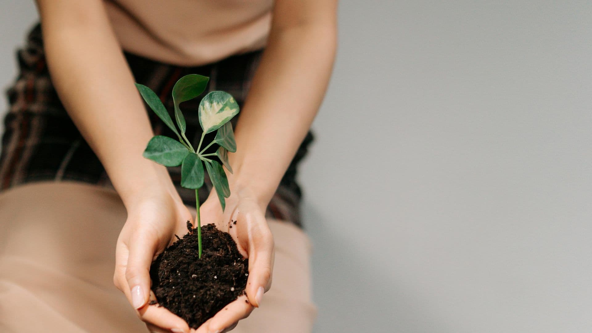 Selon la mairesse, l’évènement a connu un franc succès avec la distribution de 1500 arbres et une participation citoyenne remarquable.