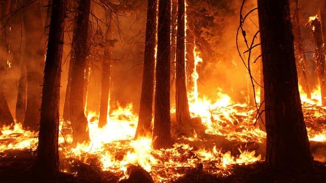 La sécheresse et les orages alimentent une saison exceptionnelle de feux dans le Nord-du-Québec, selon la SOPFEU