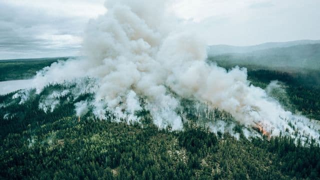 Prévention des feux de forêt : un nouveau guide pour mieux gérer les crises municipales