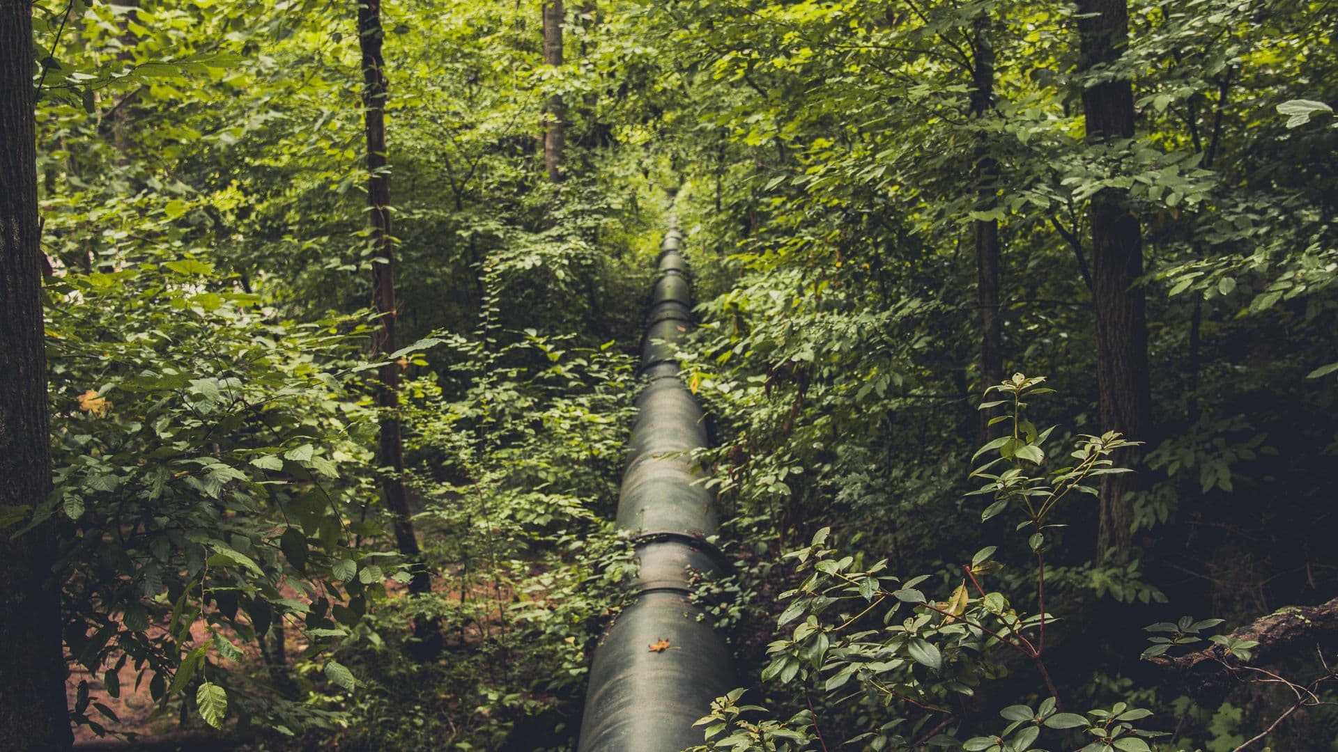Marinvest Energy : un projet de gazoduc traversant la Baie-James sème la controverse