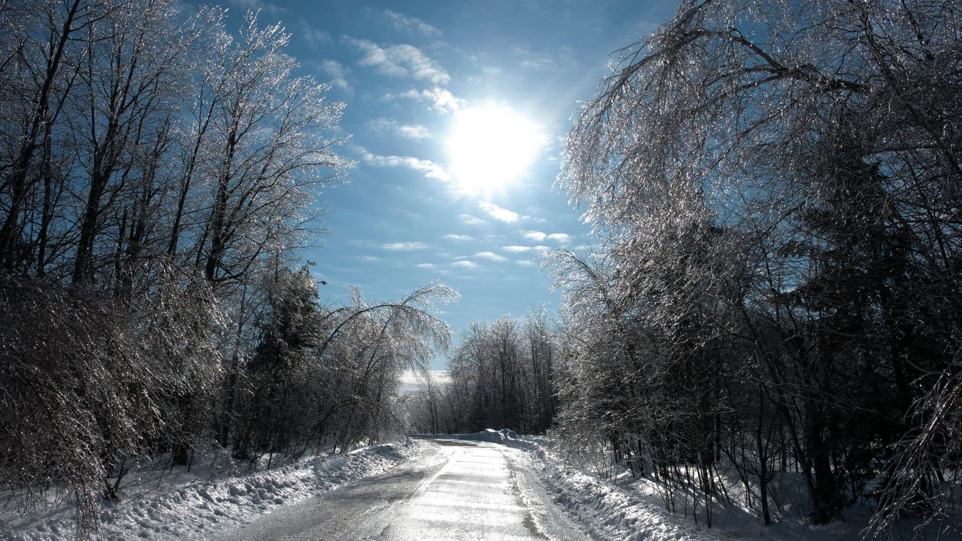 Le ministère des Transports et de la Mobilité durable rappelle que ces mesures sont essentielles pour protéger les routes fragilisées par la fonte des neiges.