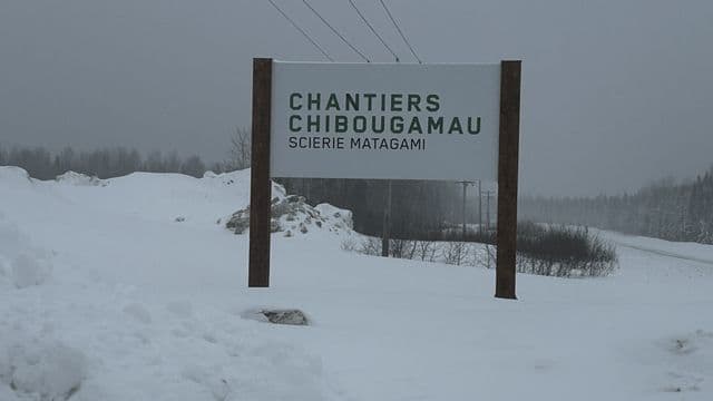 Réforme forestière : des mesures qui réduisent les coûts, mais la stabilité reste à confirmer selon Chantiers Chibougamau 