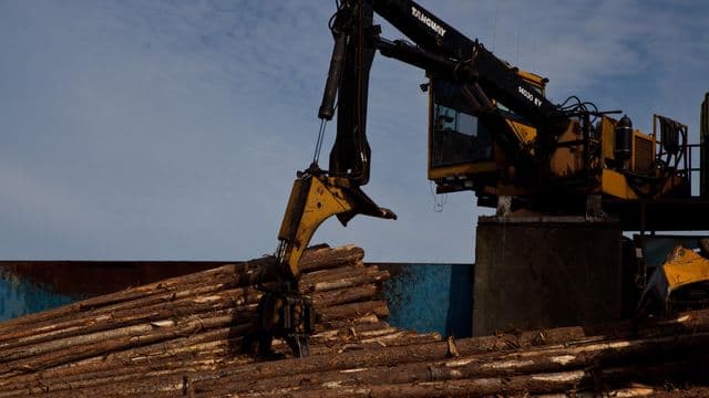 Québec renforce son soutien à la filière forestière avec de nouveaux investissements 