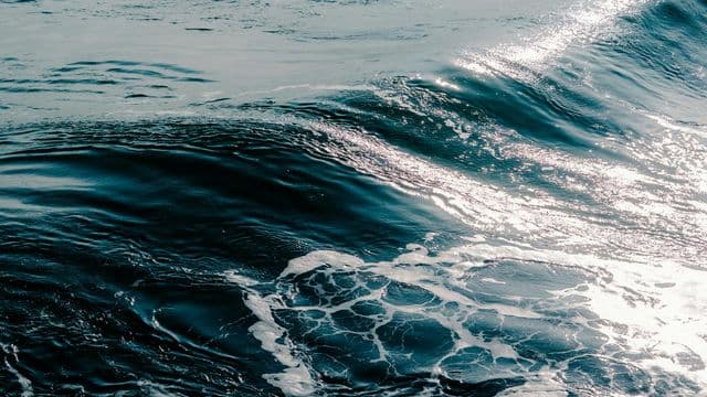 L’est de la Baie‑James mis de l’avant dans la nouvelle stratégie fédérale de conservation 