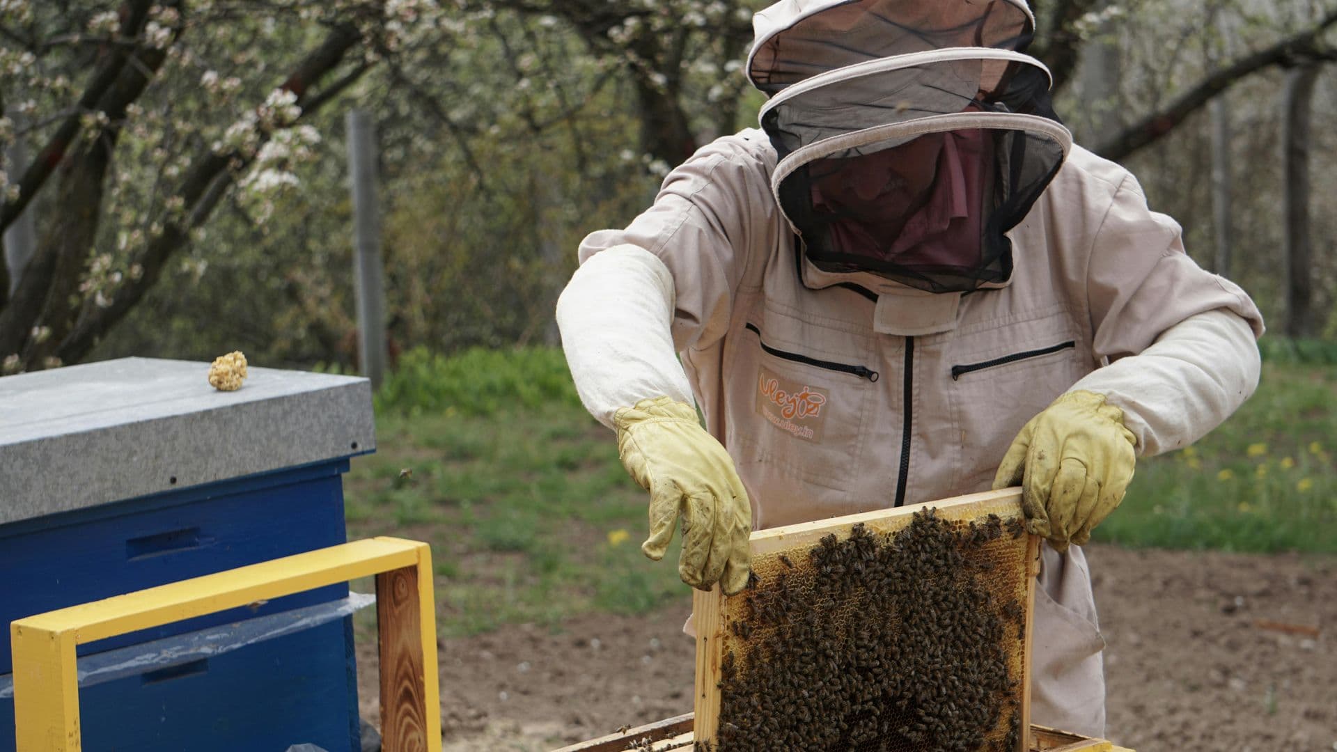 Apiculture