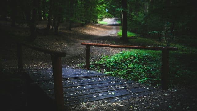 PAFIRSPA : un nouvel appel de projets lancé dès le 23 février 2026