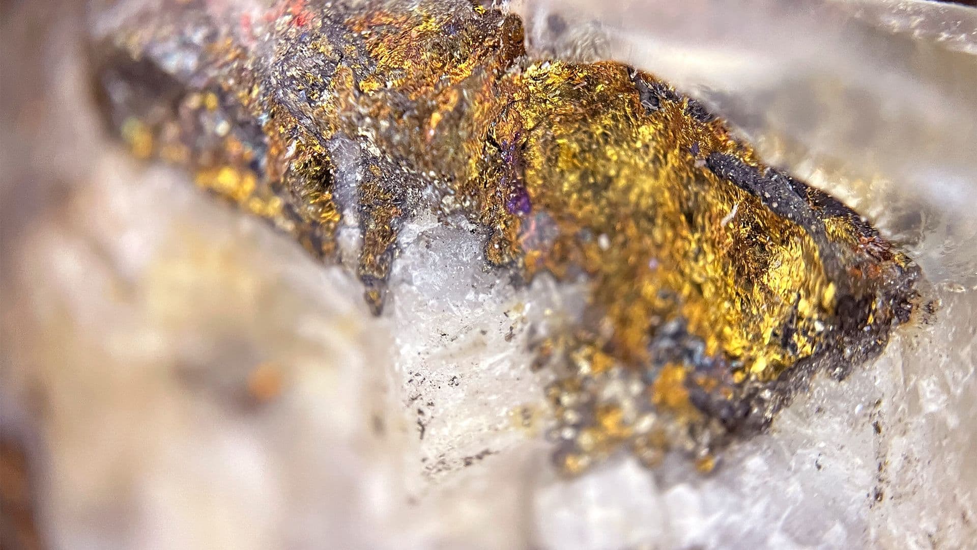 Cheechoo propulse la Baie-James au cœur de la fusion Sirios–OVI 