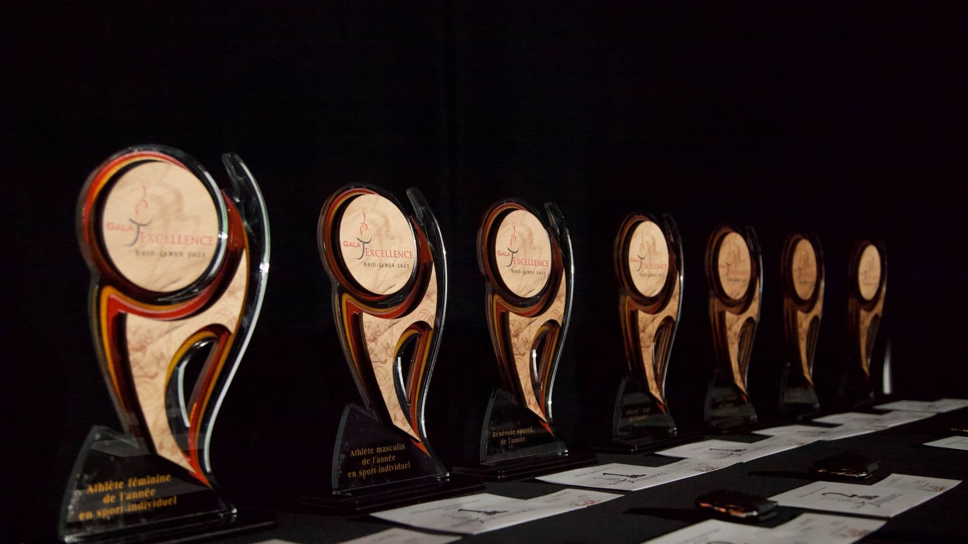 L’organisme régional promet toutefois un retour en force dès l’année prochaine pour célébrer l’engagement sportif et le bénévolat à la Baie-James.