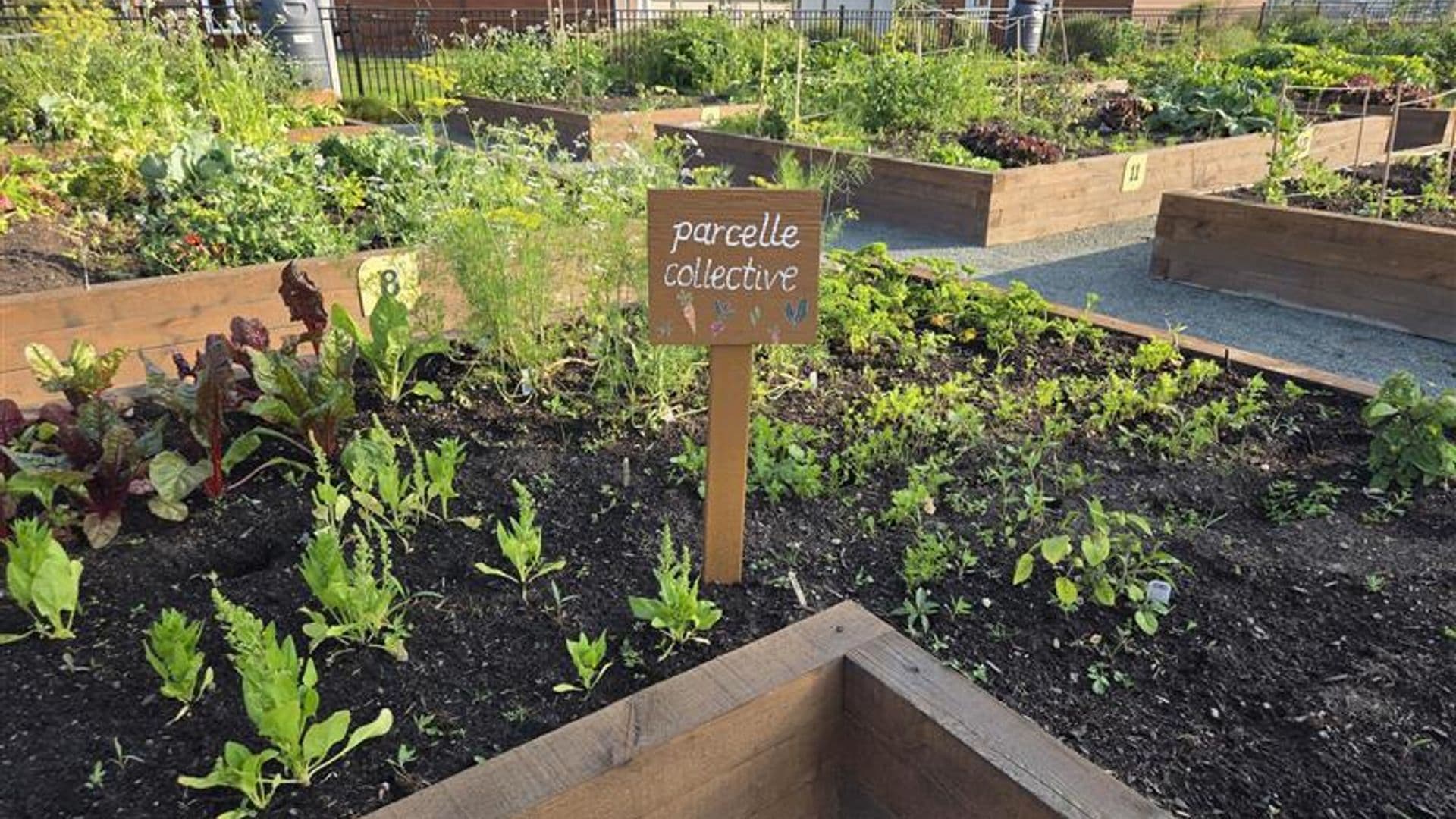 L'organisme informe également la population de la réouverture de l'éco jardin communautaire intergénérationnel, accessible à tous, près de l’aréna municipal.
