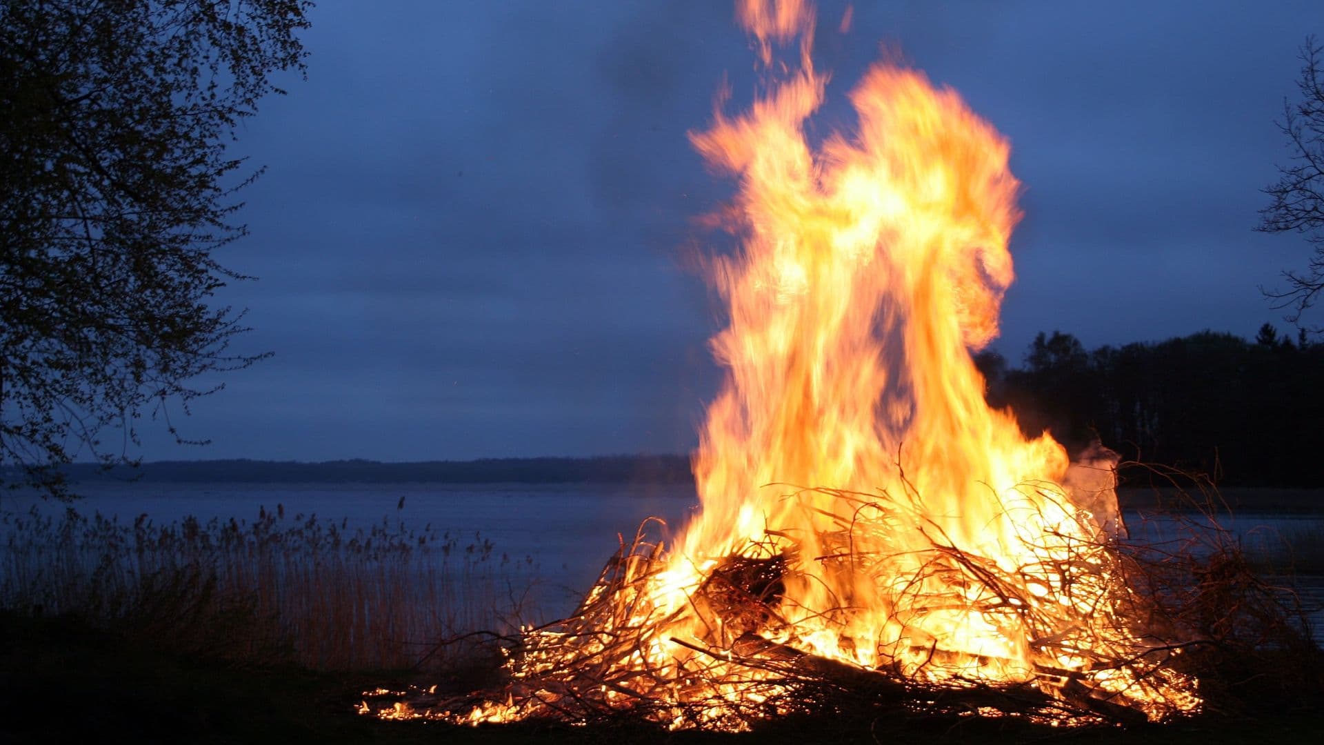 Malgré ce retour à la normale, la saison des feux 2026 s’avère déjà exceptionnelle avec plus de 600 incendies ayant ravagé près de 725 000 hectares de forêt.