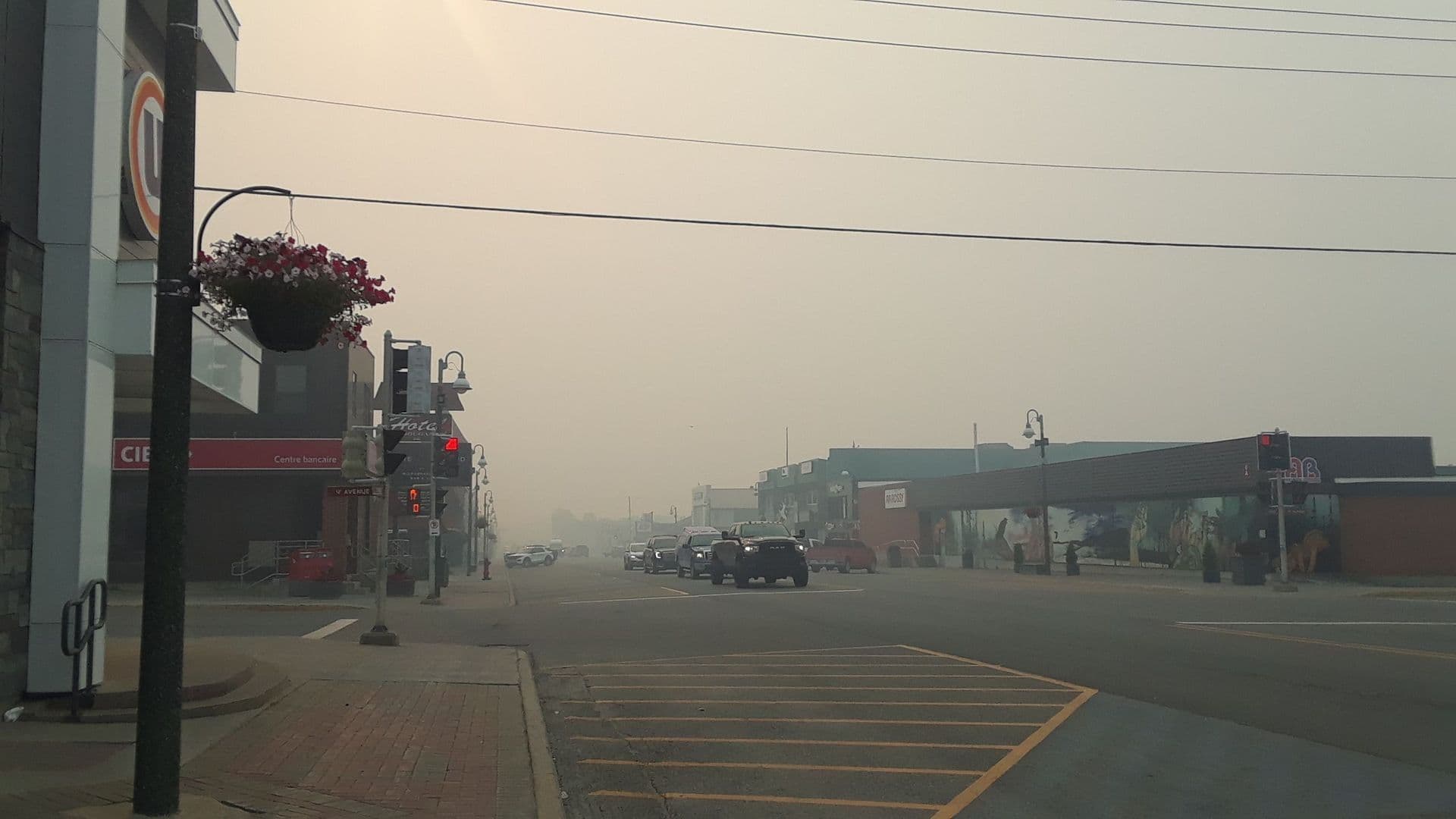 En plus de retirer la végétation autour des bâtiments, le projet prévoit la plantation de 18 000 arbres sur une longueur de 7 km au nord de Chibougamau.