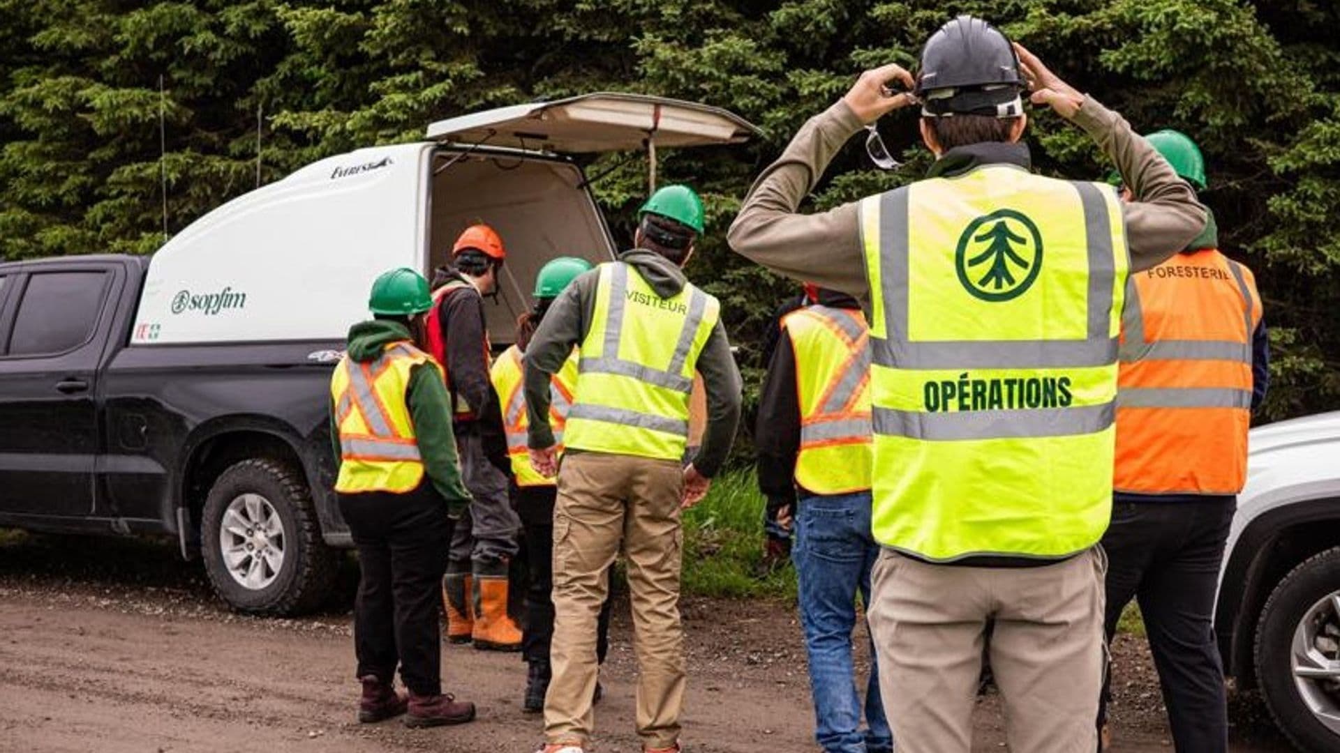 Afin de protéger les forêts contre cet insecte ravageur, plusieurs plans d’intervention visent notamment les secteurs de Chibougamau, Lebel-sur-Quévillon, Matagami et Waswanipi.